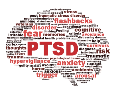 Therapy for PTSD in Sydney, Bondi, Bondi Junction with Psychologist